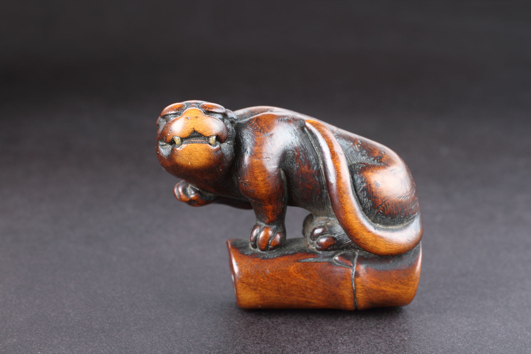 Japanese Carved Boxwood Netsuke Depicting an Angry Tiger 